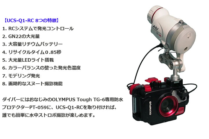 楽天市場】AOI エーオーアイ カメラストロボ フラッシュ ダイビングUCS 