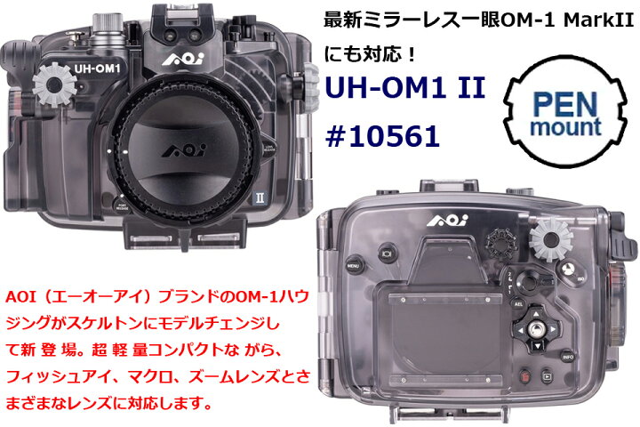 写真家 清水 淳 x OM-1 ～水中撮影に最適なシステム～ | OM-1 