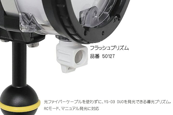 楽天市場】SEA&SEA シーアンドシー フラッシュプリズム 単品 YS-D3用 