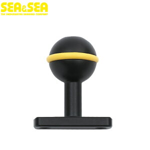 SEA&SEA V[AhV[ SA8 Œ莮{[x[X A[ Nv nEWO _CrO J Be ANZT[@22119