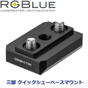 RGBLUE NCbNV[x[X}Eg TR1 QSBM-TR1 MU-7621Or }Egx[X ڑ NCbNV[x[X _CrO JANVJ x[X}Eg