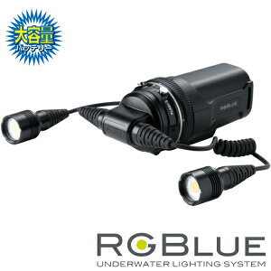RGBlue SYSTEM02:re cCCg X[p[i`J[A[W[u[ SYSTEM :re Twin Light S02RE-TL-SNC _CrOcCCg J rfICg Cg Be Xg{