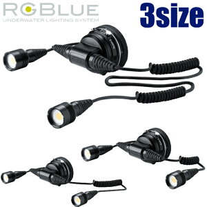 RGBlue CgW[ LM5K1300S2 SYSTEM02:re cCCgX[p[i`J[ WP[u OP[u GNXgOP[uA[W[u[ _CrO cCCg J