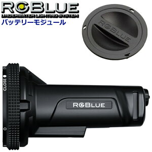 �������� RGBlue �o�b�e���[���W���[�� BM3521S �W���e�ʃ��f���A�[���W�[�u���[ �r�f�I���C�g �������C�g LED �o�b�e���[ ���C�g�_�C�r���O Battery module