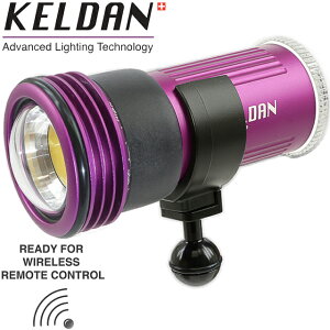 KELDAN MU-8084 Video 4XR CRI86 11000[ CgP_ _CrO rfICg CXRΉ JrfI Be eNjJ_CrO iCg_CrO