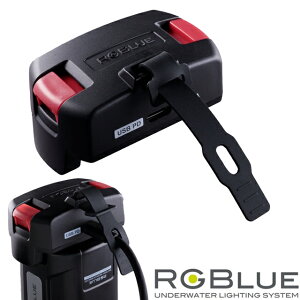 RGBlue RGB-CA2 Charge Adapter2 SYSTEM02 Tricolor _CrO CgA[W[u[ `[WA_v^[2 [d VXe02 A_v^[