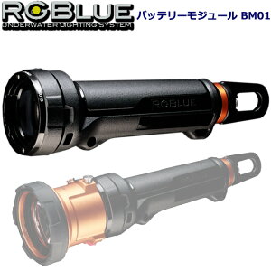 RGBLUE RGBS-BM01 Battery Module BM01 _CrO Cg LEDCgA[W[u[ GXt@Cu _CrOCg Be J rfIrfICg S5 obe[W[ obe