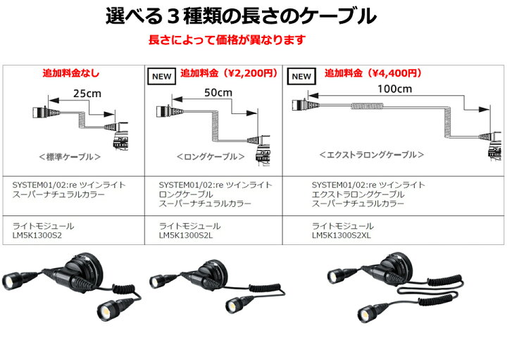 楽天市場】RGBlue TWIN LIGHT SYSTEM01:re SUPER-NATURAL COLORアール 