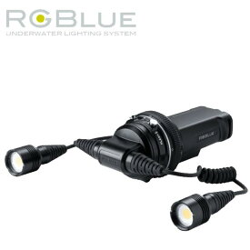 RGBlue TWIN LIGHT SYSTEM01:re SUPER-NATURAL COLORアールジーブルー ツインライトシステム01 アールイー ダイビングスーパーナチュラルカラー ビデオライト 水中ライト LED