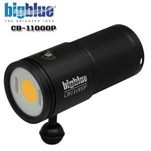 BIGBLUE rbOu[ Cg CB-11000P 11000[_CrO Cg Xg{ ^ [dt`ECIdr 100MSh rfICg