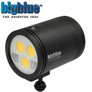 BIGBLUE rbOu[ Cg LED CB-33000P2 ʃrfIebNCg _CrO Cg Xg{ ^Ch  X|bg `Edr 100MSh 30000[