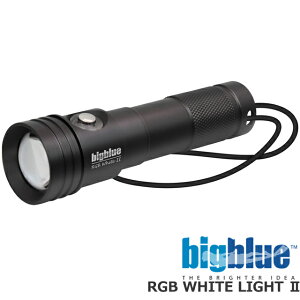 BIGBLUE rbOu[ Cg LED RGB White LIGHT 2_CrO Cg Xg{ ^ dr 100MSh@500[@vbV