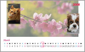 名刺サイズのオリジナルカレンダー【写真4枚入】ラミネート仕上げ・3ヶ月分