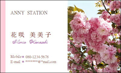 楽天市場 名刺 桜 3 花の名刺 30枚 ゆうパケット送料無料 サクラ Anny Station