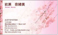 ☆★つやあり★☆彡桜 (sakura)001 （花のデザイン名刺） 30枚 【送料無料】