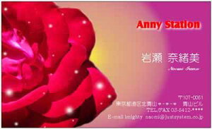 h 100 Ԃ̖h KN o ΂ [Y rose  p[v   ꂢ Y IV  t H Z Annystation Aj[Xe[V