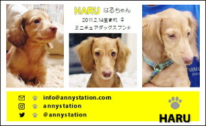 X[VbgECG[Ciybghj 30 yz L ETM  ȂǂDȃybgŁ