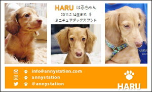 X[VbgEIWCiybghj 30 yz L ETM  ȂǂDȃybgŁ