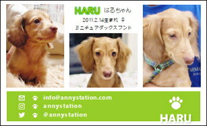 X[VbgEO[Ciybghj 30 yz L ETM  ȂǂDȃybgŁ