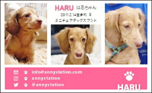 X[VbgEsNCiybghj 30 yz L ETM  ȂǂDȃybgŁ