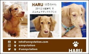 X[VbgEuECiybghj 30 yz L ETM  ȂǂDȃybgŁ