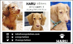 X[VbgEubNCiybghj 30 yz L ETM  ȂǂDȃybgŁ