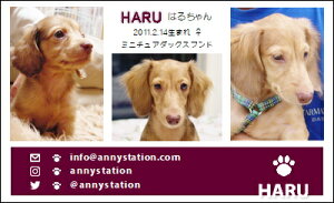 X[VbgE}[Ciybghj 30 yz L ETM  ȂǂDȃybgŁ