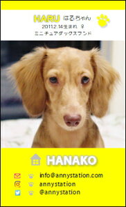 WANVbgET-XNGAyCG[ziybghj 30 yz L ETM  ȂǂDȃybgŁ