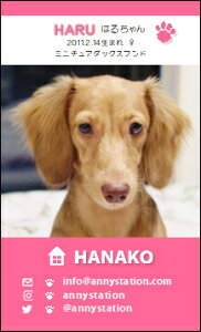 WANVbgET-XNGAysNziybghj 30 yz L ETM  ȂǂDȃybgŁ