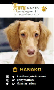 WANVbgET-XNGAyubNziybghj 30 yz L ETM  ȂǂDȃybgŁ