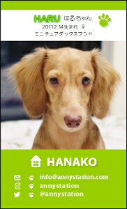 WANVbgET-XNGAyCziybghj 30 yz L ETM  ȂǂDȃybgŁ