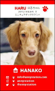 WANVbgET-XNGAybhziybghj 30 yz L ETM  ȂǂDȃybgŁ