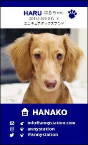 WANVbgET-XNGAyziybghj 30 yz L ETM  ȂǂDȃybgŁ