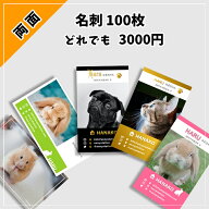ペット名刺 うちの子専用 オリジナル 写真入り 名刺 印刷 100枚～ 両面 犬 猫 オーダーメイド オフ会 名…