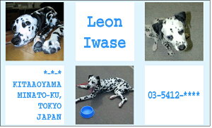 �X���[���V���b�g�E���F�i�y�b�g���h�j 30�� �y���������z