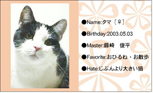 WAN���V���b�g�E�s���N�I�����W�̂��ԁi�y�b�g���h�j 30�� �y���������z