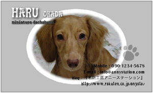 WAN���V���b�g�E�N�[���i�y�b�g���h�j 30�� �y���������z