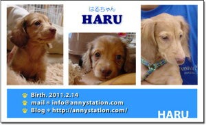 X[VbgEu[Ciybghj 30 yz L ETM  ȂǂDȃybgŁ