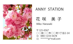 J[ʐ^ 傱Ɩh 10 J[ S S}[N 摜 ʐ^ [  Aj[Xe[V AnnyStation