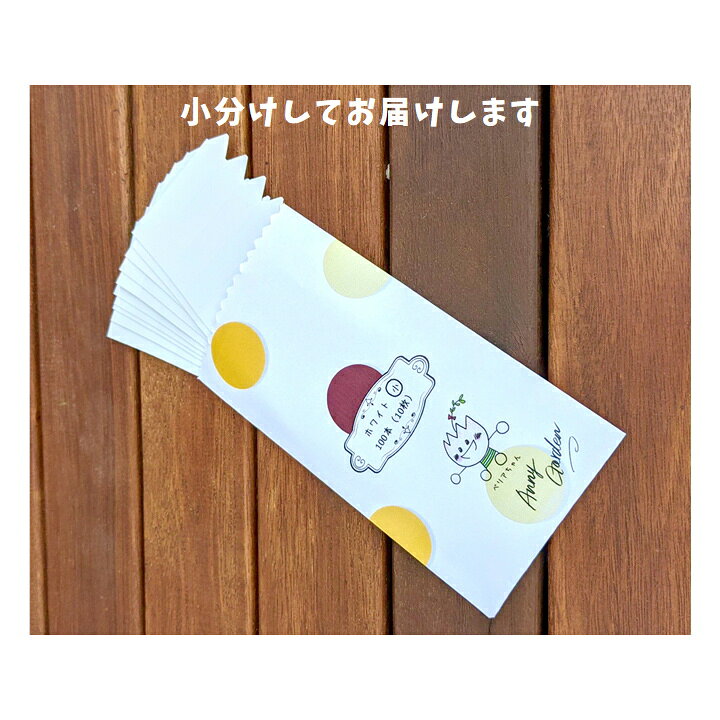 0枚 植物ラベル 園芸ラベル 再使用可能 植物識別 園芸用ラベル 植物タグ 0枚 植物ラベル 園芸ラベル 再使用可能 植物識別 園芸用ラベル 植物タグ