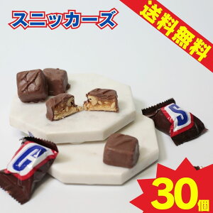 1000~|bL  |Cg XjbJ[Y ~j`A 30 َq lߍ킹 `R[gَq `RXibN ʉَq }[X SNICKERS ܂ ΂甄 ܂Ƃߔ XgbN 