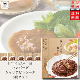 《母の日 プレゼント》 レトルト 惣菜 常温 洋風 おかず レトルト食品 常温保存 詰め合わせ 送料無料 惣菜セット 食品 ハンバーグ シャリアピンソース 6食 あす楽 インスタント食品 インスタント レンジで簡単 非常食 防災 備蓄仕送り tabete まごころを食卓に 膳