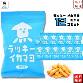 《父の日 プレゼント》 お菓子 詰め合わせ 送料無料 おつまみ セット おつまみセット 駄菓子 駄菓子セット 駄菓子屋 煎餅 せんべい 子供 子供会 ギフト おかき ラッキー イカマヨ 1ケース 12袋 あす楽 手土産 内祝い おやつ 煎餅 お礼 お返し プレセント 贈り物