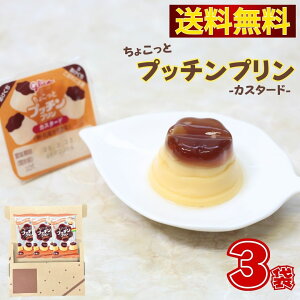 1000~|bL  XC[c |Cg OR vb`v 傱ƃvb`v JX^[h 6 3܃Zbg 18 ܂Ƃߔ XgbN u َq lߍ킹 