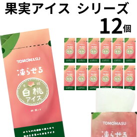 【13時〆最短翌日着】果実アイス マスクメロシャーベット ジェラート アイスクリーム ジュース 詰め合わせ プレゼント スイーツ プチギフト フルーツシャーベット 凍らせて食べる ソルベ 果実アイス 白桃 ケース売り 12個セット パウチ お菓子 詰め合わせ 駄菓子