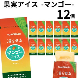 《父の日 プレゼント》果実アイス シャーベット ジェラート アイスクリーム ジュース 詰め合わせ プレゼント スイーツ プチギフト フルーツシャーベット 凍らせて食べる ソルベ 果実アイス マンゴー ケース売り 12個セット パウチ お菓子 詰め合わせ 駄菓子 送料無料