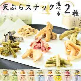 1000円ポッキリ 送料無料 ポイント消化 おつまみ ギフト セット 詰合せ 野菜チップス 天ぷらスナック 9種から選べる2種 お菓子 詰め合わせ 珍味 おつまみギフト お試し 玉ねぎ なす 紅しょうが エリンギ おくら にんにくの芽 れんこん 菜の花 しいたけ