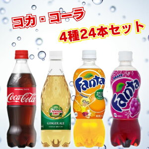 W[X lߍ킹 ybg{g 500ml 24{  RJER[ 4 24{ Y_ ܂Ƃߔ WWG[ Ji_hC t@^O[v t@^IW ii Վ 蕨 Cx