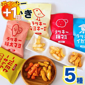 【さらにポイント+1倍】1000円ポッキリ 送料無料 ラッキーおかき 5種 詰め合わせ お菓子 セット ラッキーマヨネーズ おかき アソート 食品 スナック菓子 常温保存 食料品 個包装 ポイント消化