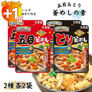 【さらにポイント+1倍】丸美屋 釜めしの素 2種 各2袋 1000円ポッキリ レトルト食品 詰め合わせ 送料無料 1合用 混ぜて作るとり釜めしの素 1合用 混ぜて作る 五目釜めしの素 炊き込みいらず ご